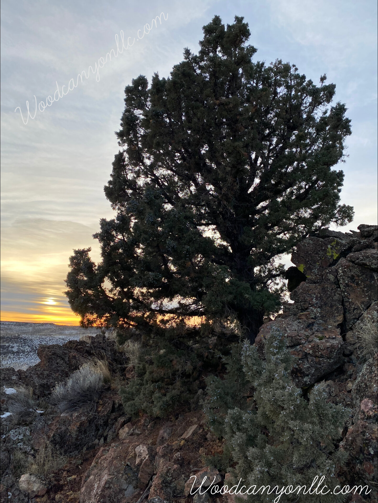 Home Decorative Wilderness Photo